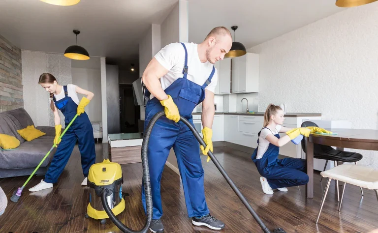 istanbul villa temizliği